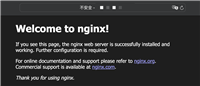 Docker 安装 Nginx 并挂载目录的实现示例