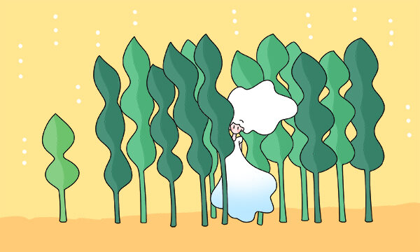 2024专做香港留学的中介有哪些 哪家好 2024专做香港留学的中介有哪些 哪家好