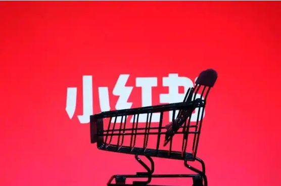 小红书蒲公英平台怎么开通？入口在哪里？