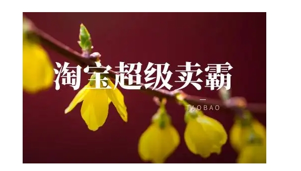 超级卖霸是干什么用的?怎么推广的?