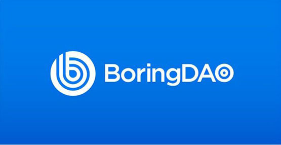 boring是什么币种?一文了解boring币前景