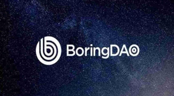 boring币官方有在运营吗?boring币的未来发展趋势分析