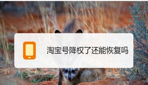淘宝宝贝降权30天严重吗?怎么补救?