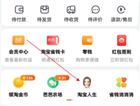 淘宝怎么查看自己消费总额？步骤有哪些？