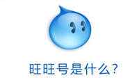 淘宝旺旺是什么？是账号还是昵称？