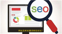 关键词优化排名工具怎么用?哪个软件比较好?