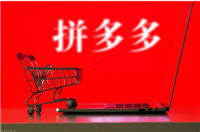 拼多多怎么开网店?大概需要多少钱?