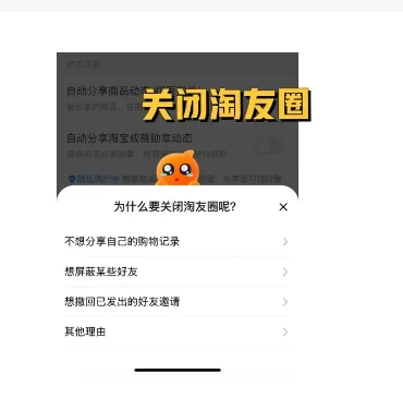 淘友圈怎么分享买过的宝贝?可以看好友购买记录吗?