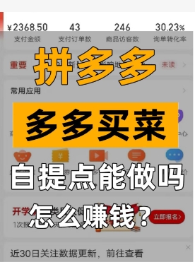 2024多多买菜怎么申请团长？自提店赚钱吗？