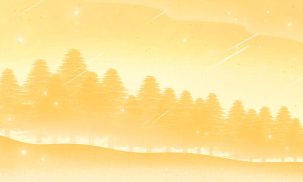 2024河南工业大学中外合作办学专业学费多少钱