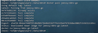 docker+ddns实现动态域名的示例代码