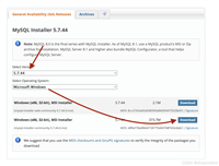vue实现直连mysql的方法步骤