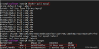 docker 可用镜像服务地址的使用(亲测可用)