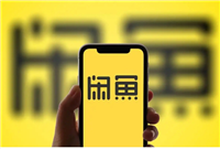 怎么投诉闲鱼平台处理不公正?找谁最有效?