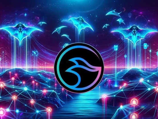 manta创始人大谈项目发展!或成solana与以太坊桥梁