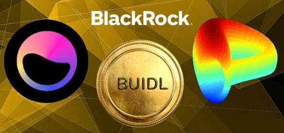 curve合作elixir引入贝莱德美债代币化基金buidl!crv上涨9.53%