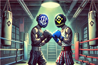 美国SEC再提修正版诉讼!指控币安与赵长鹏违法经营证券交易