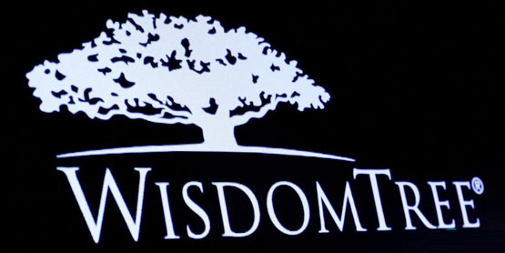wisdomtree在德拉瓦州注册信托实体 计划推出xrp现货etf