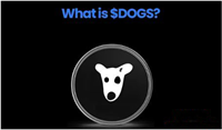 什么是TON链上的DOGS币？DOGS代币经济学和分配