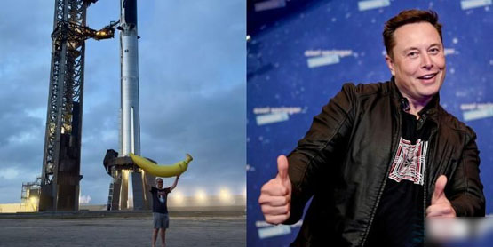 马斯克x转发香蕉照片!引发相关代币ban、banana等暴涨