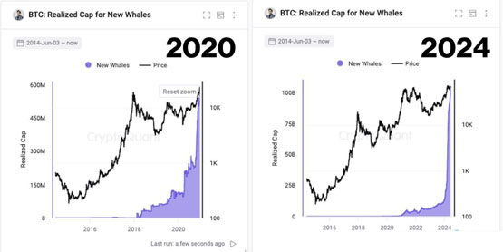 cryptoquant ceo：比特币目前数据与2020年牛市初期相似