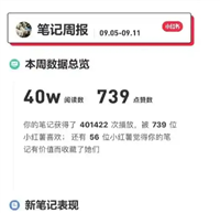 小红书浏览量多少正常?1000算爆了吗?