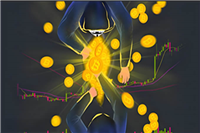 2024全球领先的数字资产交易平台汇总! 一文盘点