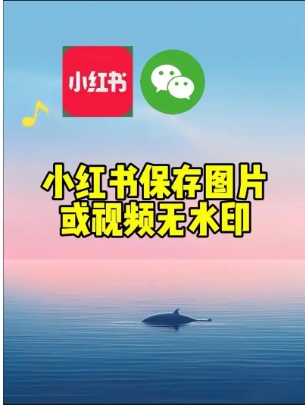 小红书视频怎么去水印保存到手机?提取方法是什么?