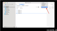 Xcode 正则表达式实现查找替换功能