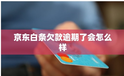 京东白条能用吗？逾期了会怎么样？
