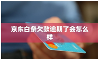 京东白条能用吗？逾期了会怎么样？