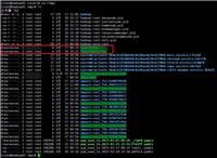 jps查看进程无法显示的问题及解决