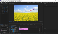 Premiere怎么做蝴蝶飞舞动画? Pr巧用关键帧制作蝴蝶飞舞动画的技巧