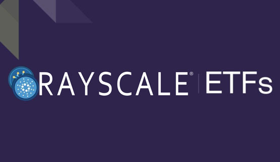 nyse代表灰度提交cardano现货etf！solana、xrp也在路上