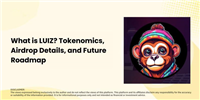 什么是LUIZ币？代币经济学、空投详情和未来路线图
