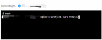 Docker容器内目录显示异常的解决方法