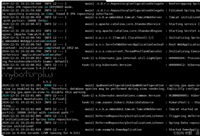使用Docker打包和运行Java镜像的完整指南