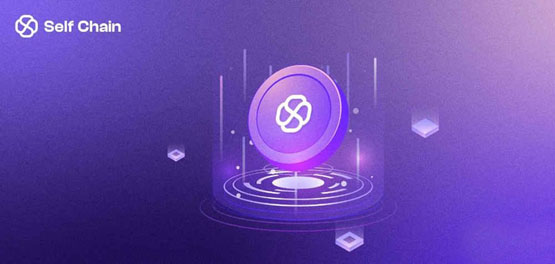 slf币发行总量和发行时间介绍