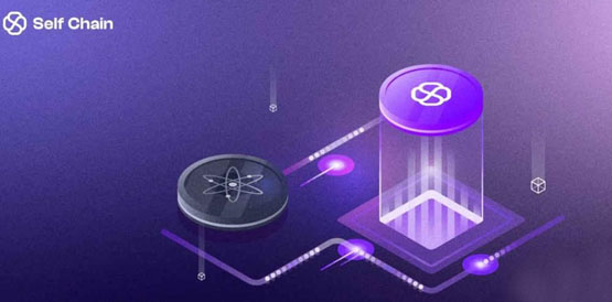 slf币怎么买？上线了哪些平台？