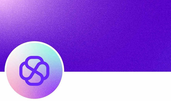 slf是什么币种？slf币未来前景分析