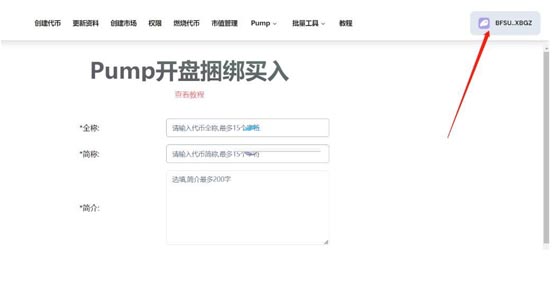 pumpfun发币如何挣钱？