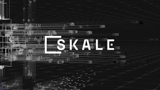 skl币怎么样？skl币未来到底有没有价值？