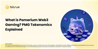 什么是Pomerium Web3游戏?PMG代币经济学全面解读