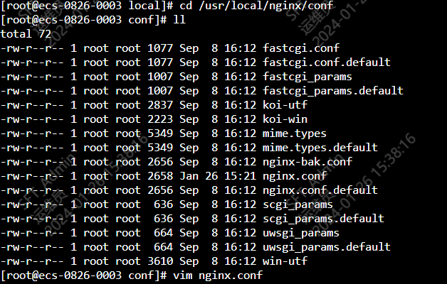 image-20240126153828219