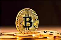 2025年币圈或“大洗牌”?比特币涨势放缓,“山寨币”或迎来高光时刻