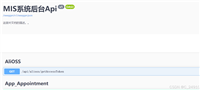C# swagger ui增加访问限制方式