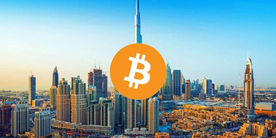 阿布扎比主权基金投资超4亿美元贝莱德比特币etf！赵长鹏暗示可能持有更多