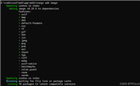 通过rust实现自己的web登录图片验证码功能