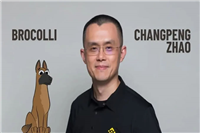 连CZ 的狗都有迷因币,Broccoli 币20 分钟赚650 万美金!
