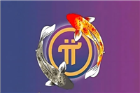 2025年2月17日尼博士网络信息更新,相信柱网后先锋会惊喜不断!